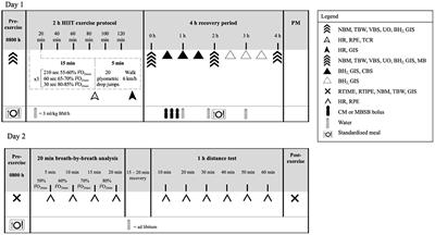 Does the Nutritional Composition of Dairy Milk Based Recovery Beverages Influence Post-exercise Gastrointestinal and Immune Status, and Subsequent Markers of Recovery Optimisation in Response to High Intensity Interval Exercise?